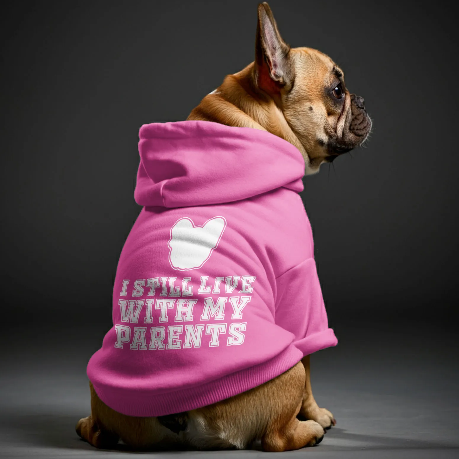 I still live with my parents - Personalized French Bulldog Hoodies with Funny Quotes – Stylish, Cozy, and Premium 100% Cotton