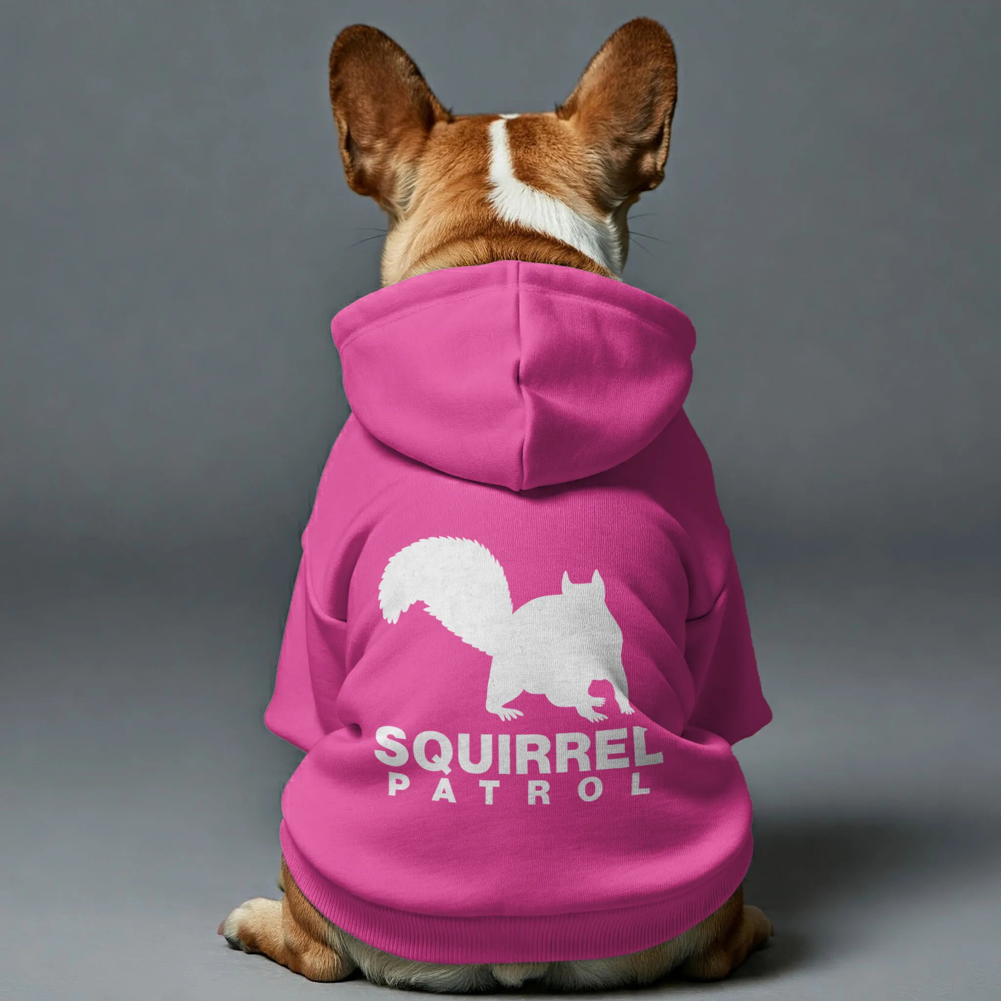 Squirrel Patrol - Personalized French Bulldog Hoodies with Funny Quotes – Stylish, Cozy, and Premium 100% Cotton