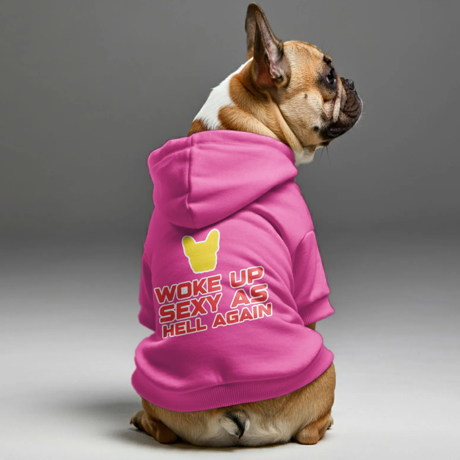 WOKE UP - Personalized French Bulldog Hoodies with Funny Quotes – Stylish, Cozy, and Premium 100% Cotton